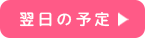 翌日の予定